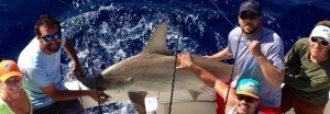 Shark Fishing Fort Lauderdale