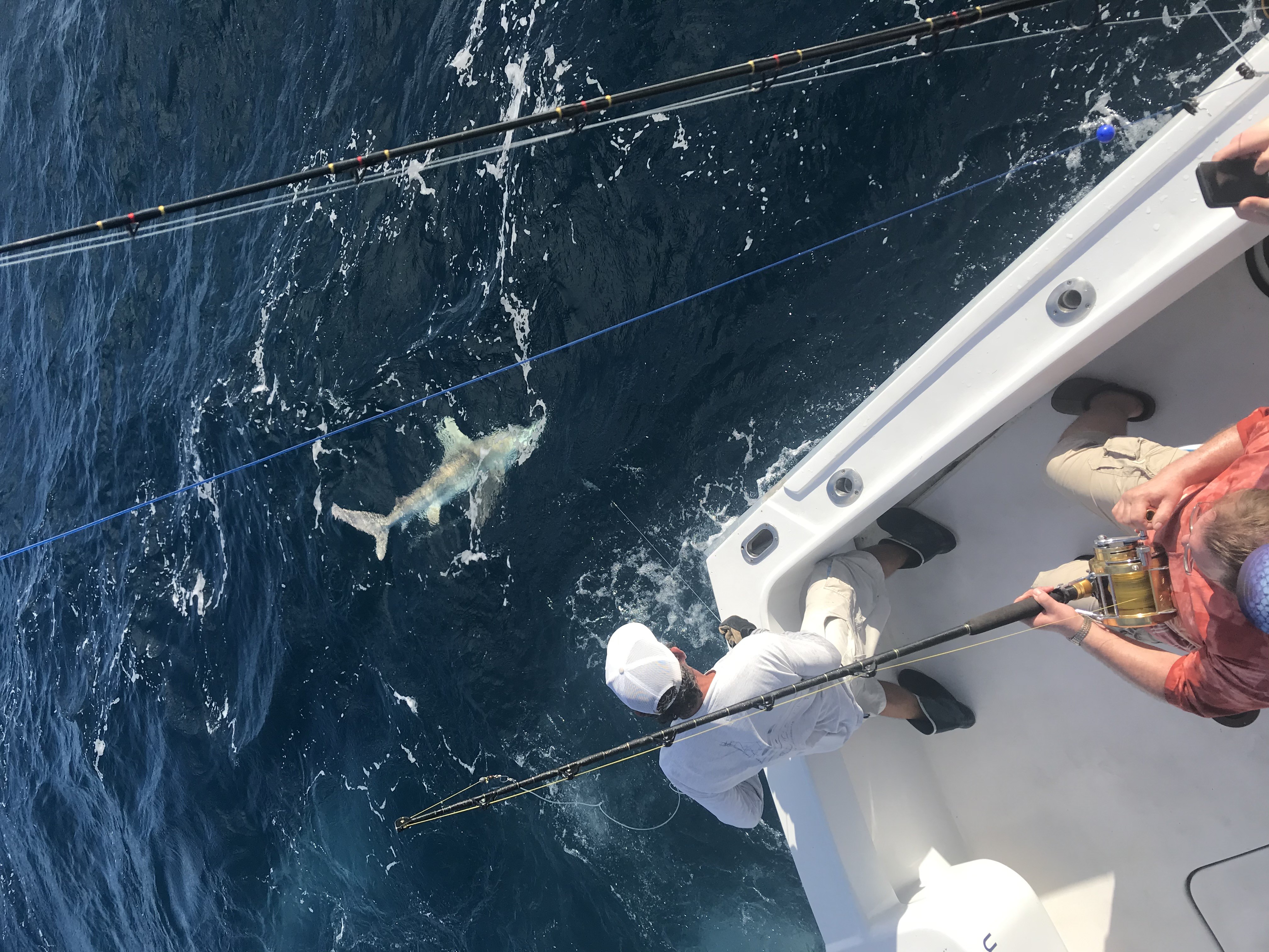 Fishing for sailfish off the coast of Fort Lauderdale
